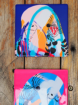 Featured Product: Budgie Coasters by Anya Brock