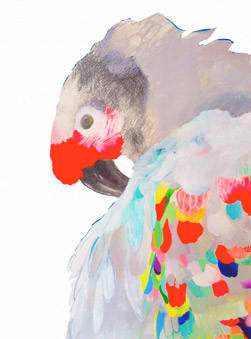 Featured Artist: Kirsty Davidson